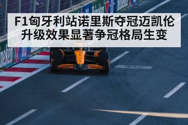 F1匈牙利站诺里斯夺冠迈凯伦升级效果显著争冠格局生变